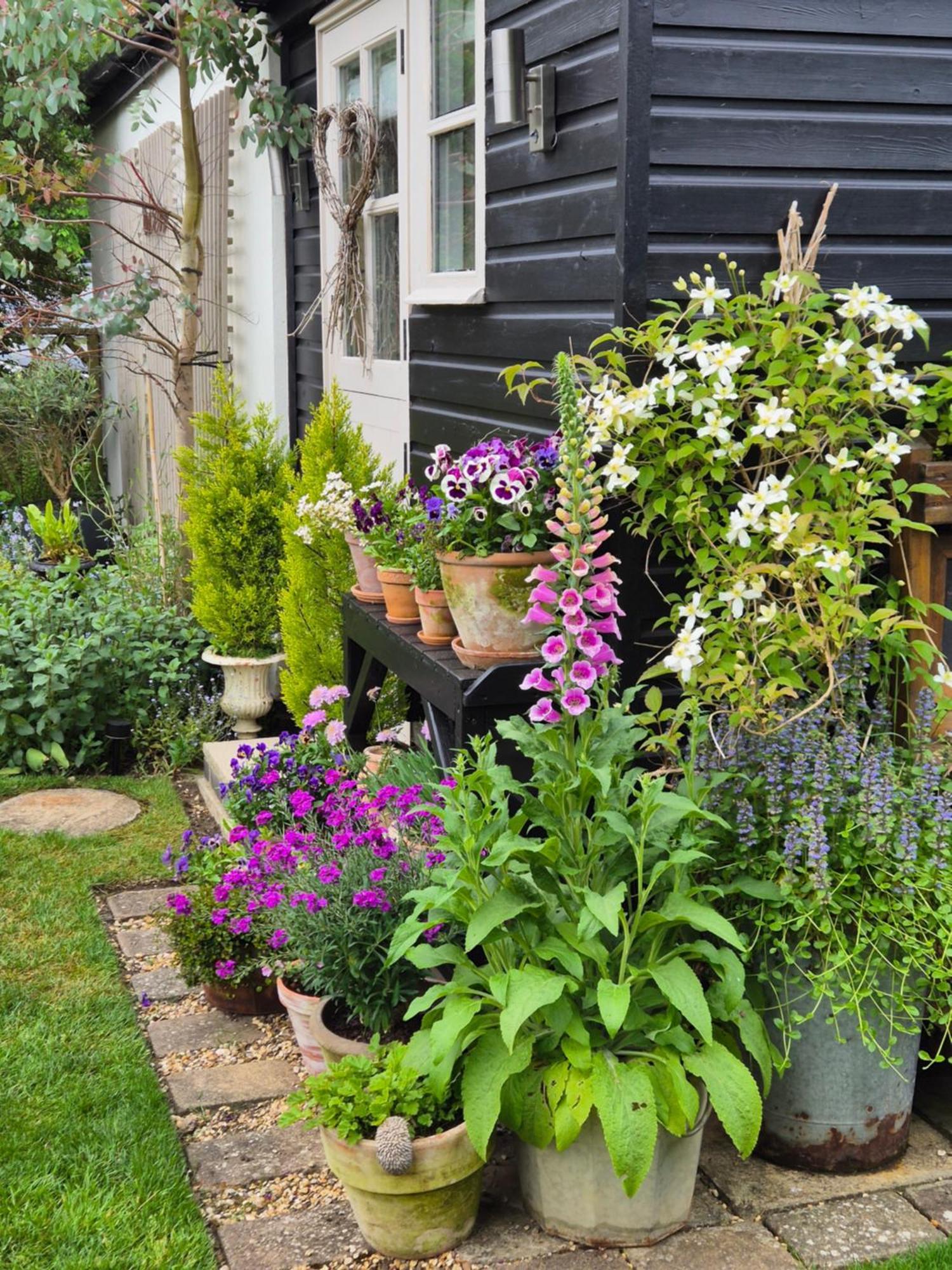 Owl Lodge Newport Pagnell Zewnętrze zdjęcie